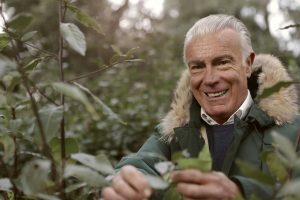 que-es-un-dentista-holistico